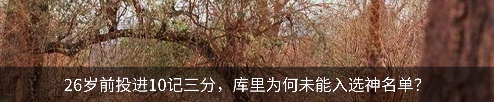 内页banner
